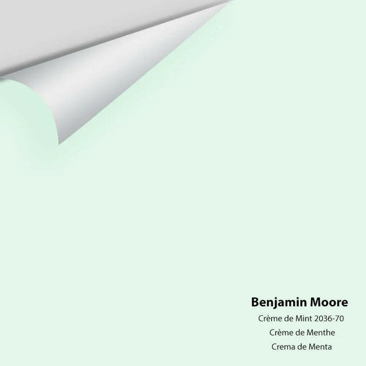 Big Paint Chip - Crème de Mint 2036-70