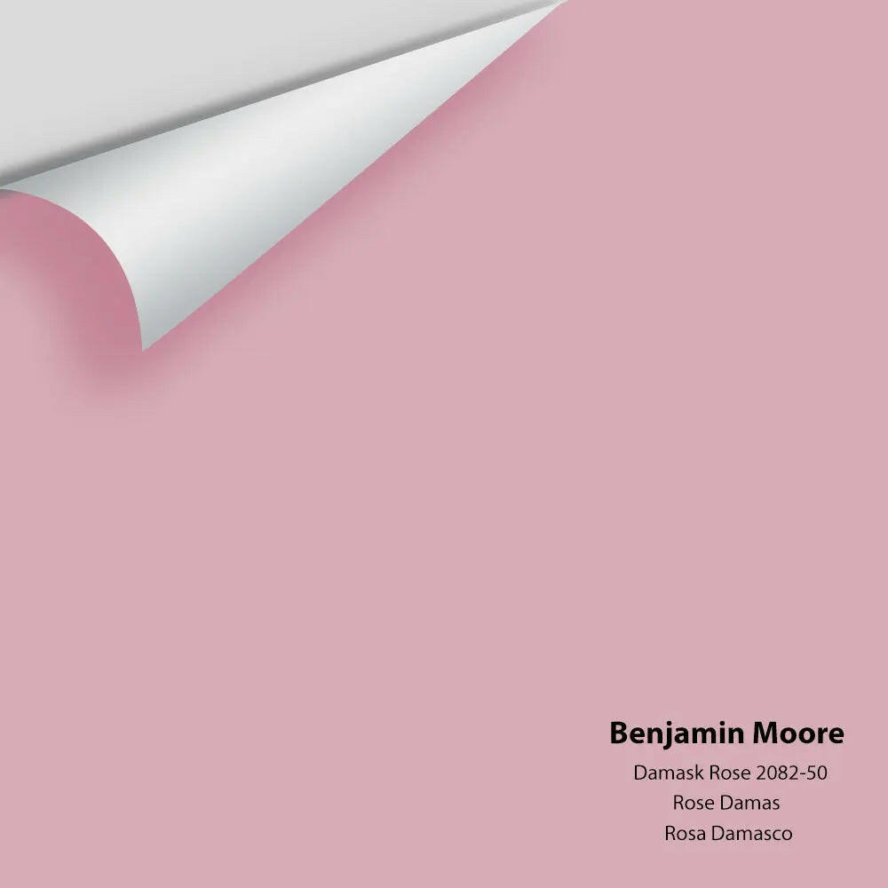 Benjamin Moore - Damask Rose 2082-50 Colour Sample