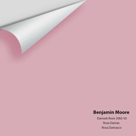 Benjamin Moore - Damask Rose 2082-50 Colour Sample
