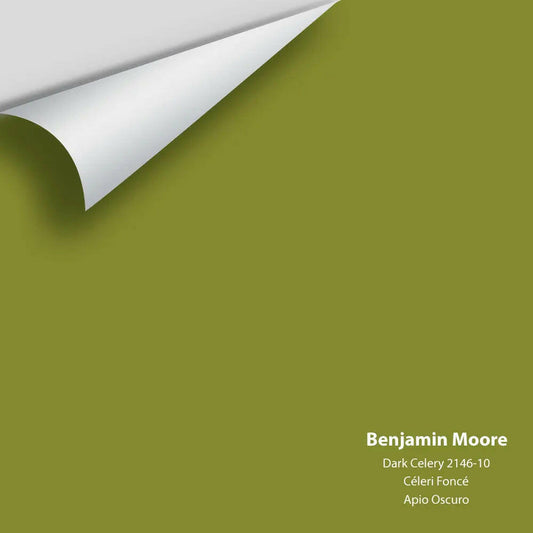 Big Paint Chip - Dark Celery 2146-10