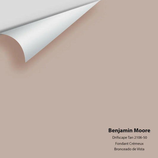Big Paint Chip - Driftscape Tan 2106-50