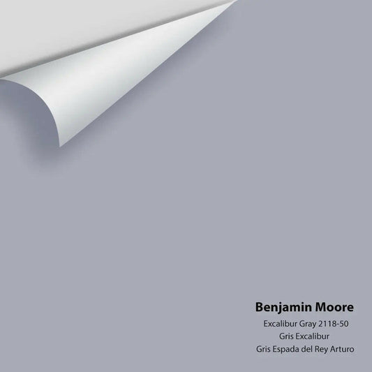 Benjamin Moore - Excalibur Gray 2118-50 Colour Sample