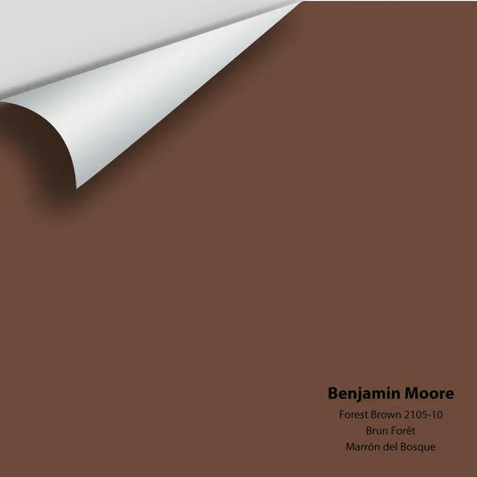 Big Paint Chip - Forest Brown 2105-10