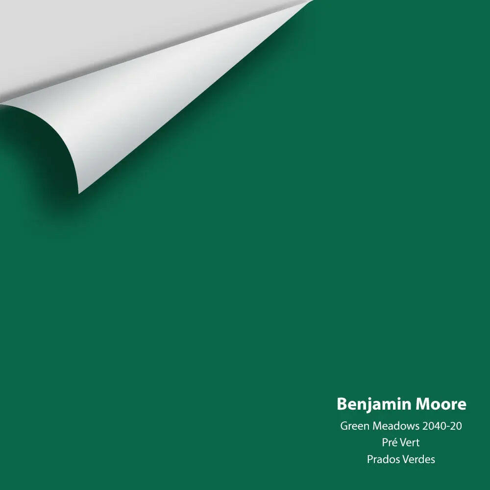Big Paint Chip - Green Meadows 2040-20