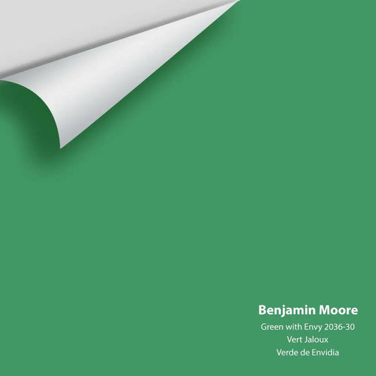Big Paint Chip - Green with Envy 2036-30