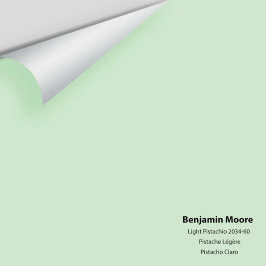 Big Paint Chip - Light Pistachio 2034-60