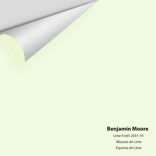 Big Paint Chip - Lime Froth 2031-70