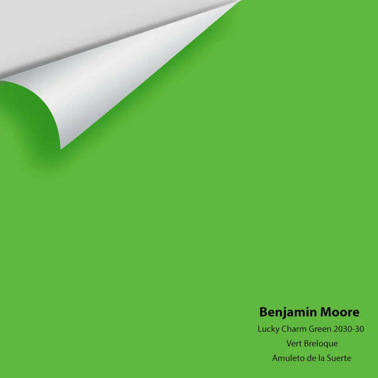 Big Paint Chip - Lucky Charm Green 2030-30