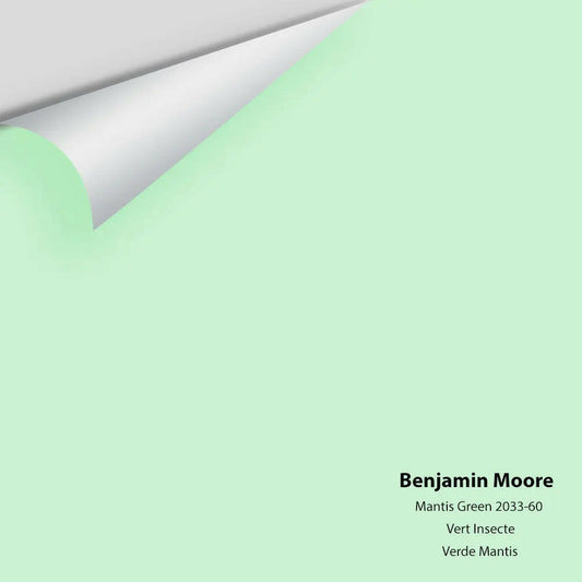 Big Paint Chip - Mantis Green 2033-60