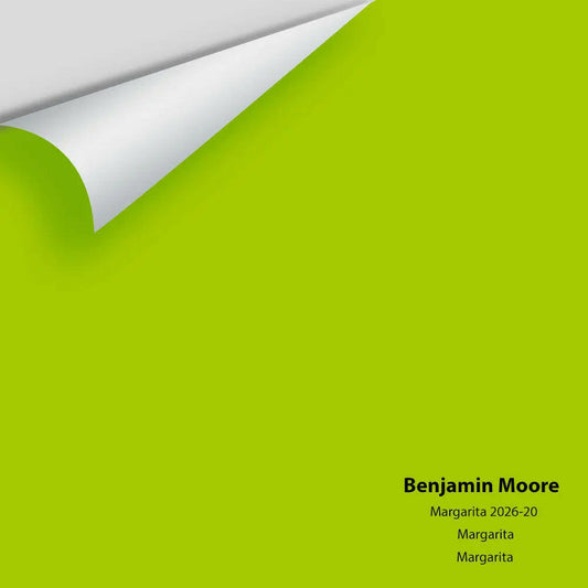 Big Paint Chip - Margarita 2026-20