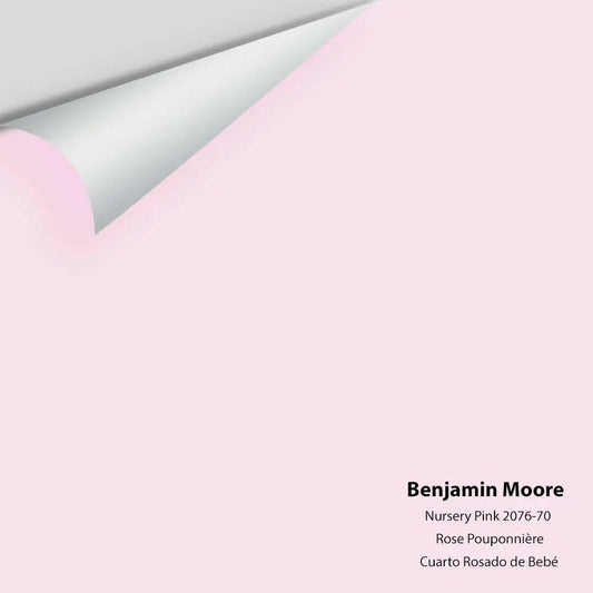 Big Paint Chip - Nursery Pink 2076-70