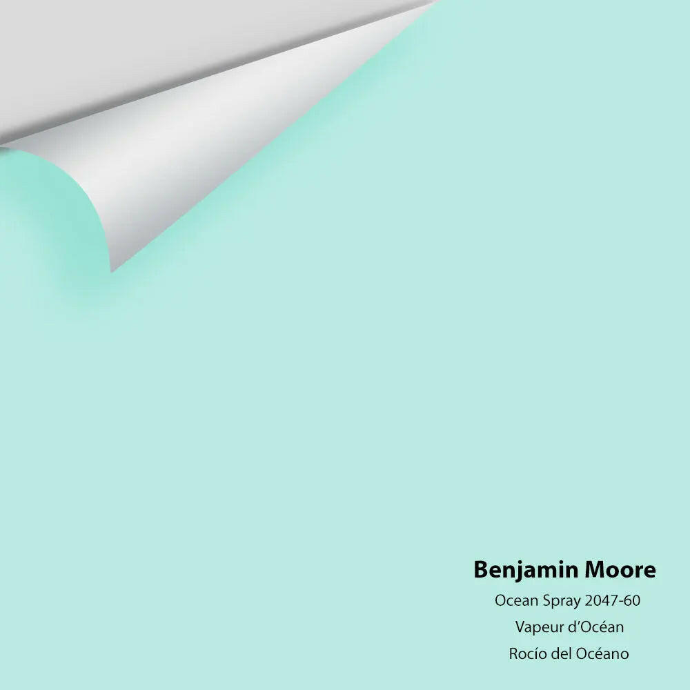 Big Paint Chip - Ocean Spray 2047-60