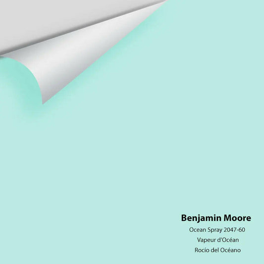 Big Paint Chip - Ocean Spray 2047-60