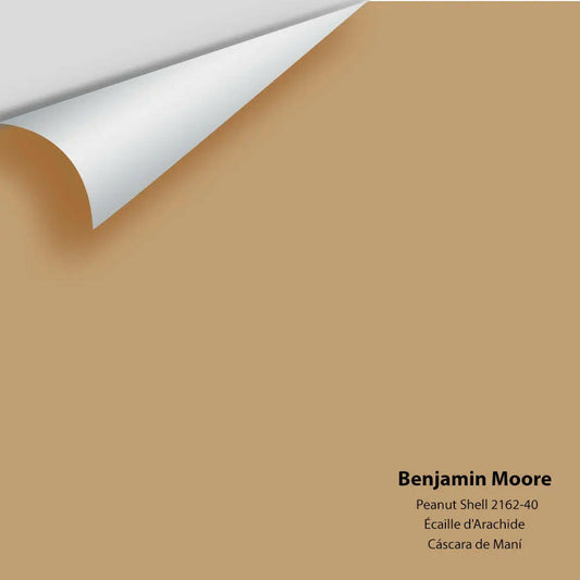 Big Paint Chip - Peanut Shell 2162-40