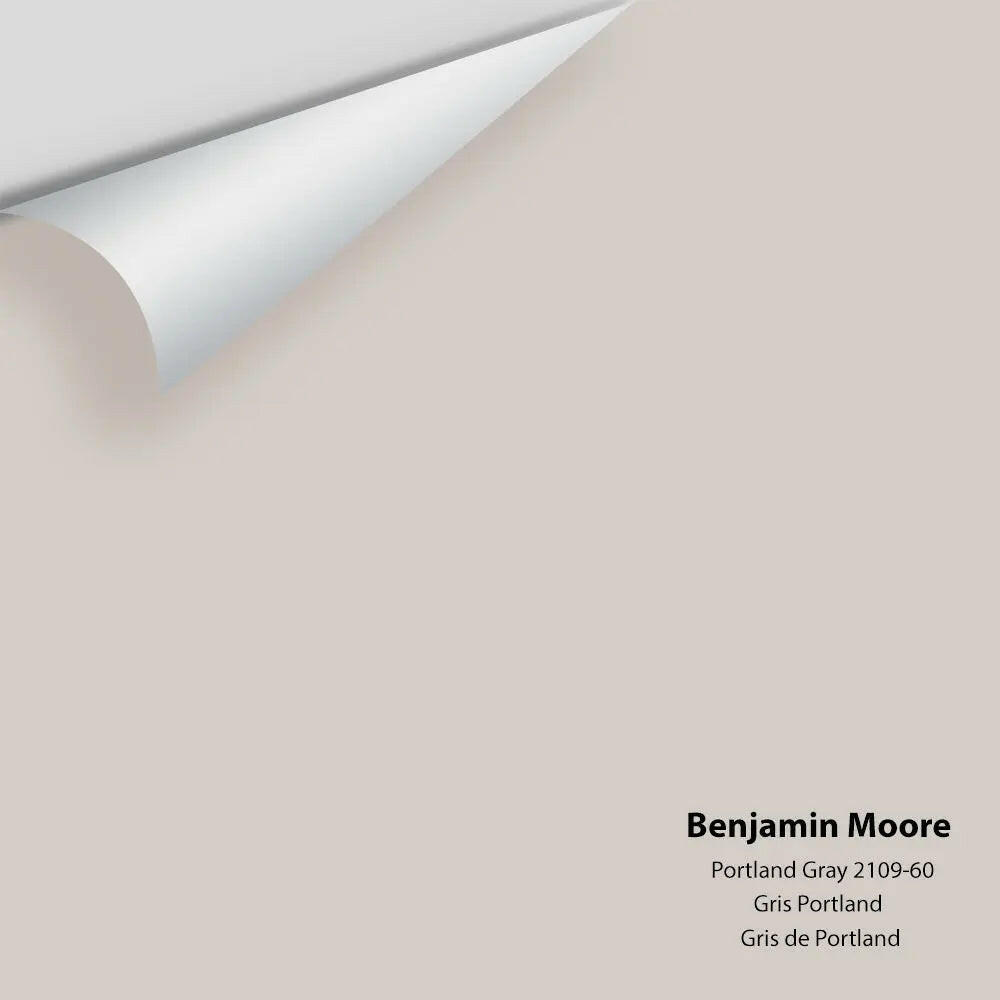 Big Paint Chip - Portland Gray 2109-60