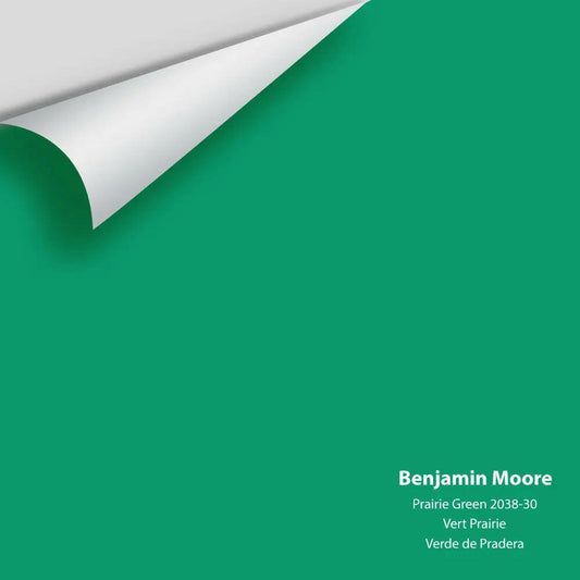 Big Paint Chip - Prairie Green 2038-30