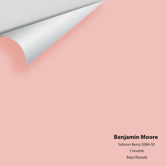 Big Paint Chip - Salmon Berry 2089-50