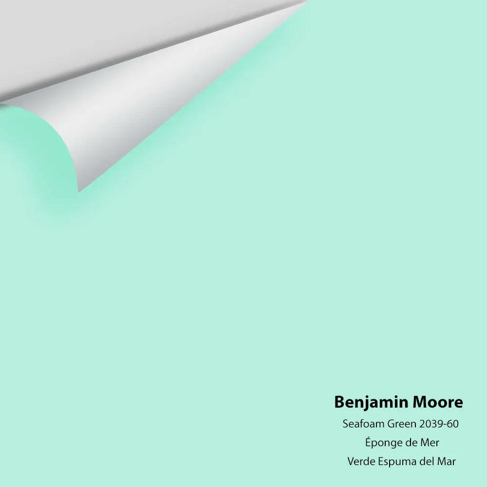 Big Paint Chip - Seafoam Green 2039-60