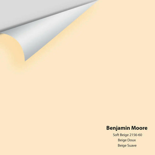 Big Paint Chip - Soft Beige 2156-60