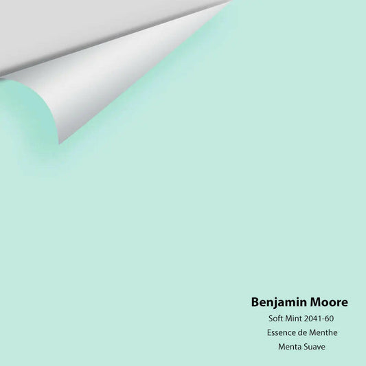 Big Paint Chip - Soft Mint 2041-60