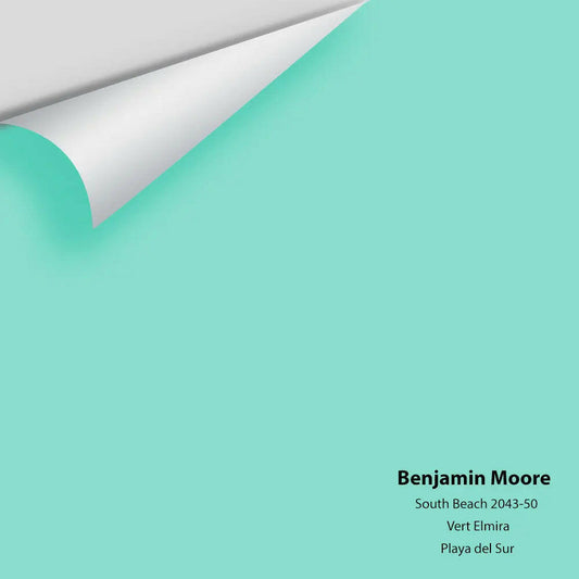 Big Paint Chip - South Beach 2043-50