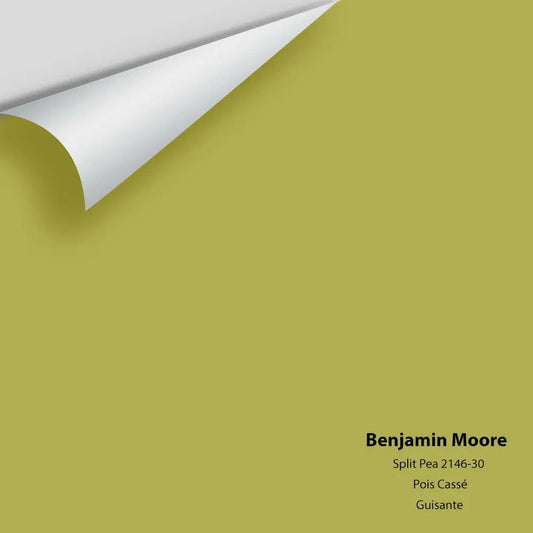 Big Paint Chip - Split Pea 2146-30