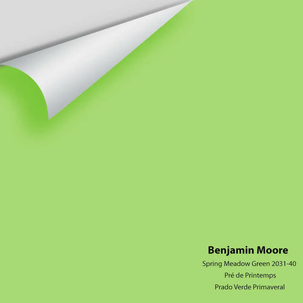 Big Paint Chip - Spring Meadow Green 2031-40