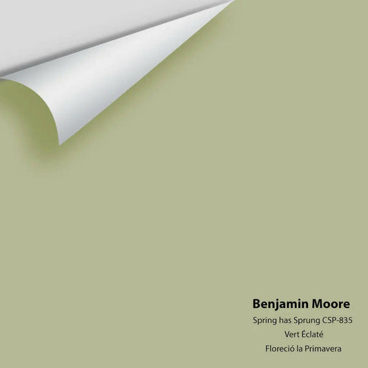 Benjamin Moore - Spring has Sprung CSP-835 Colour Sample