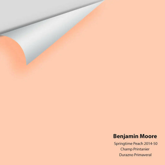 Big Paint Chip - Springtime Peach 2014-50