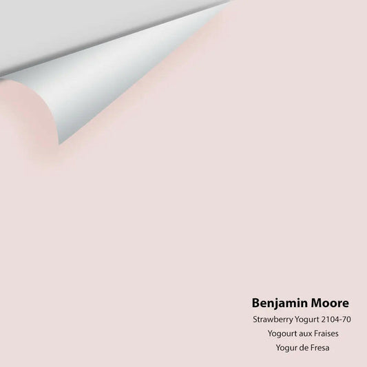 Big Paint Chip - Strawberry Yogurt 2104-70