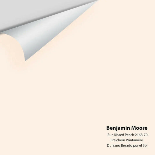 Big Paint Chip - Sun Kissed Peach 2168-70
