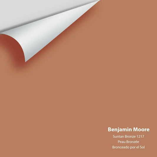 Big Paint Chip - Suntan Bronze 1217