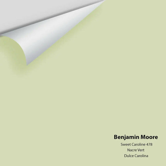 Big Paint Chip - Sweet Caroline 478