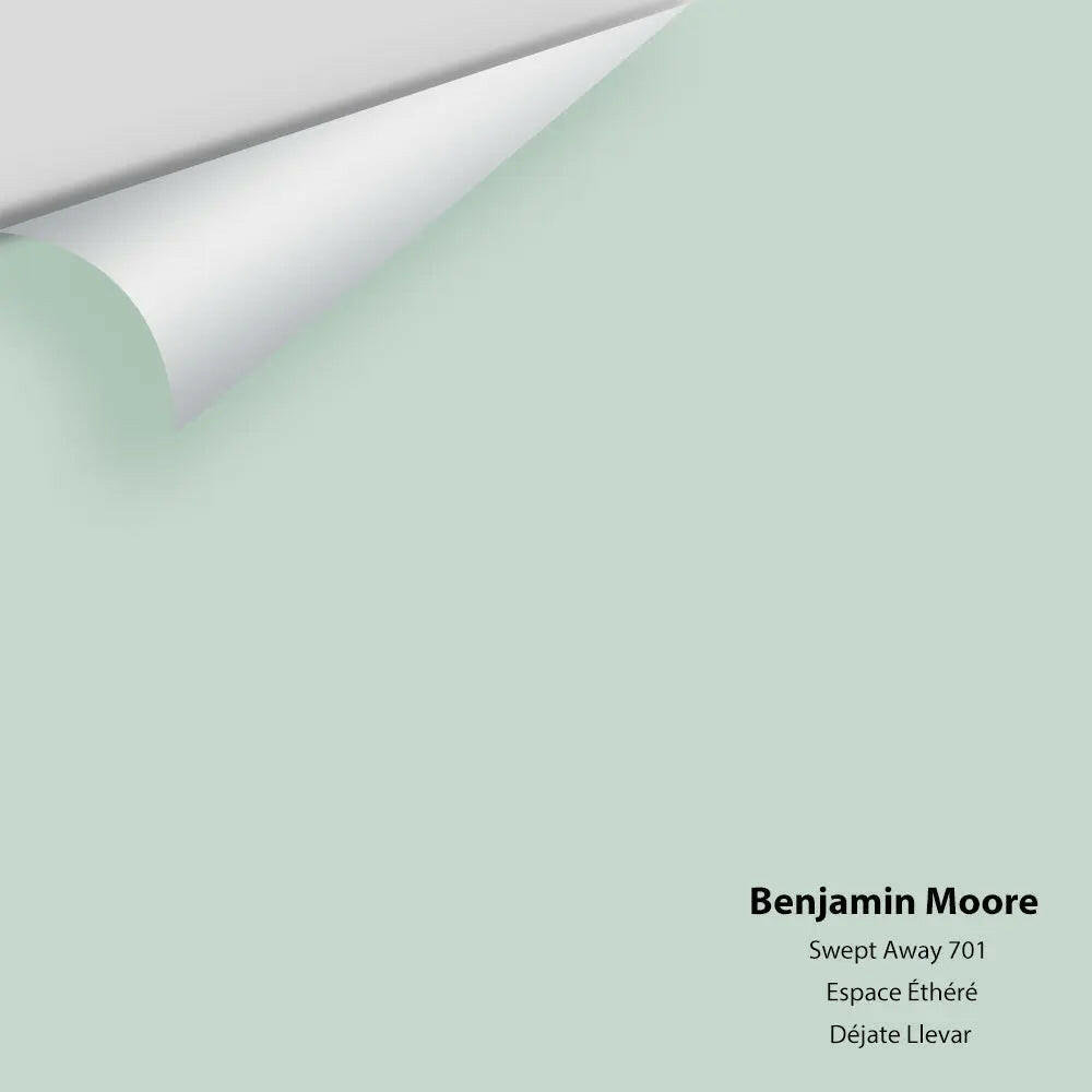 Big Paint Chip - Swept Away 701