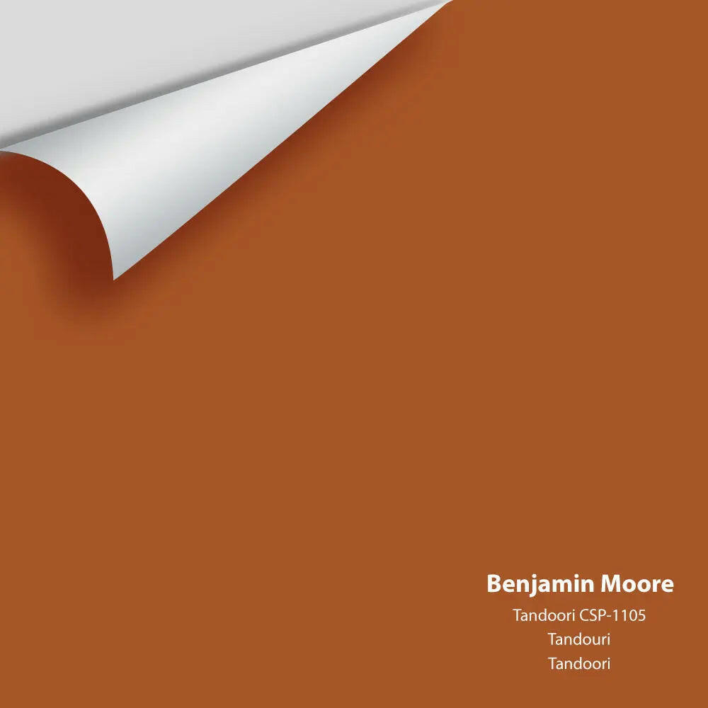 Big Paint Chip - Tandoori CSP-1105