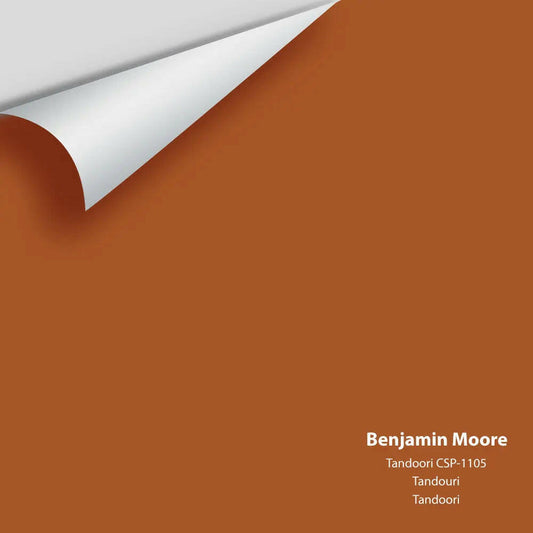 Big Paint Chip - Tandoori CSP-1105