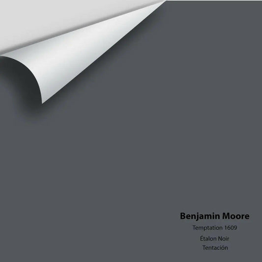 Benjamin Moore - Temptation 1609 Colour Sample