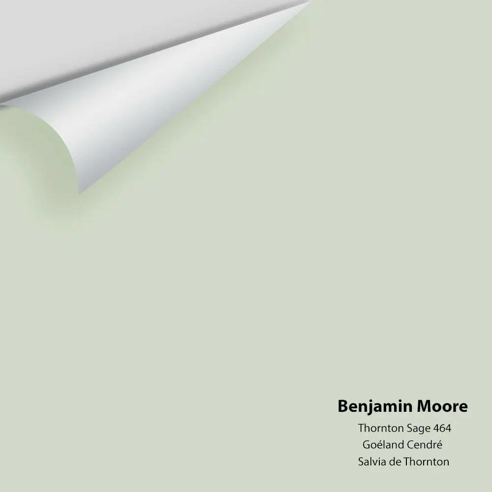 Big Paint Chip - Thornton Sage 464