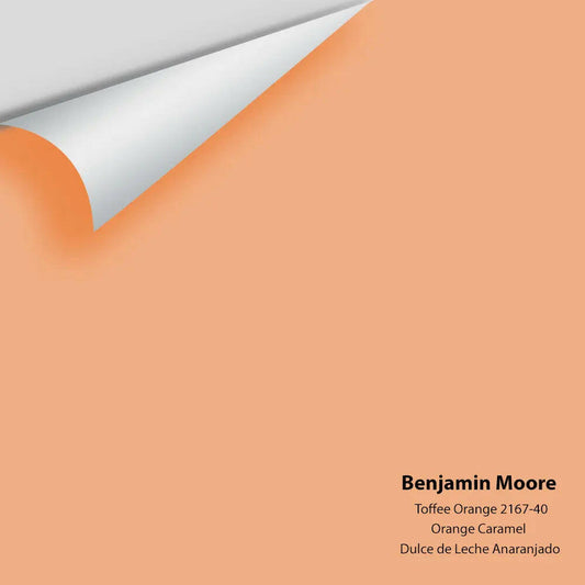 Big Paint Chip - Toffee Orange 2167-40