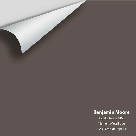 Big Paint Chip - Topeka Taupe 1463