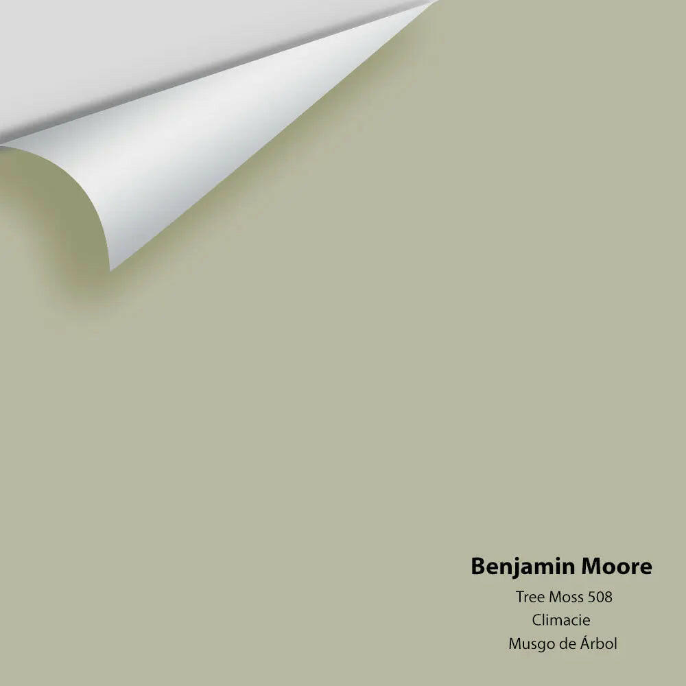 Benjamin Moore - Tree Moss 508 Colour Sample