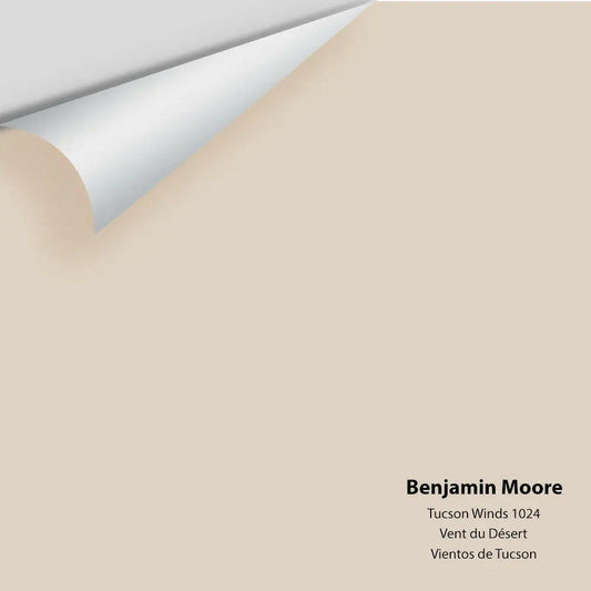 Big Paint Chip - Tucson Winds 1024