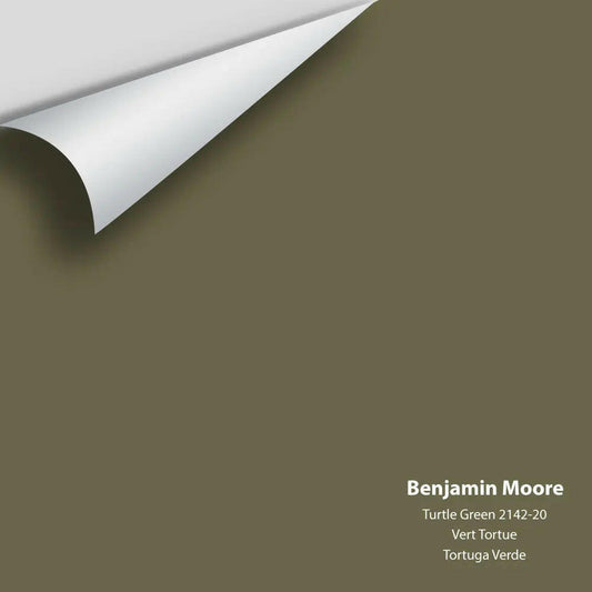 Big Paint Chip - Turtle Green 2142-20