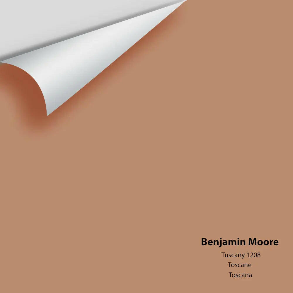 Big Paint Chip - Tuscany 1208