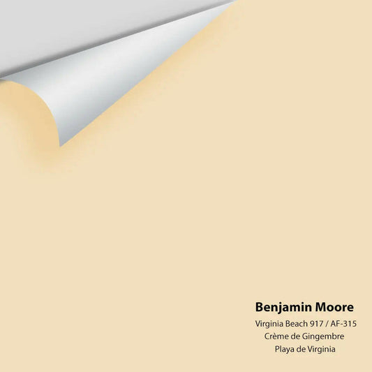 Big Paint Chip - Virginia Beach 917