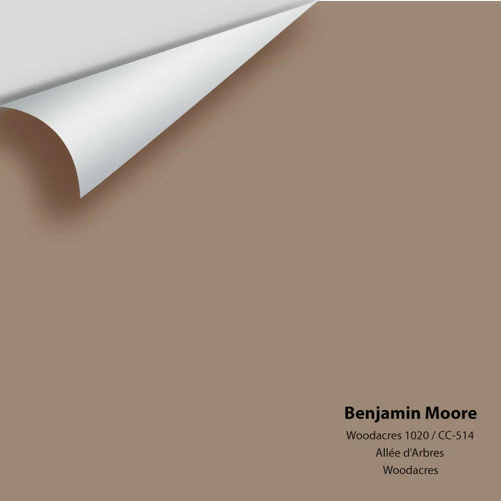 Big Paint Chip - Woodacres 1020