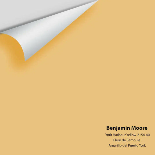 Big Paint Chip - York Harbour Yellow 2154-40