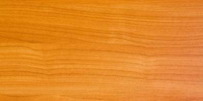 Penofin Transparent Penetrating Oil Finish - Stain & Sealer